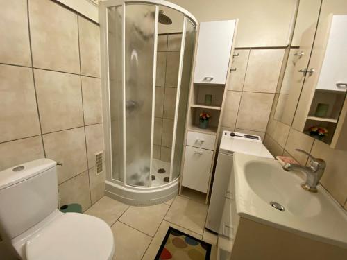 une salle de bain avec une douche, des toilettes et un lavabo dans l'établissement Appartement confortable 45m², climatisé, Balaruc-les-Bains - FR-1-503-184, à Balaruc-les-Bains