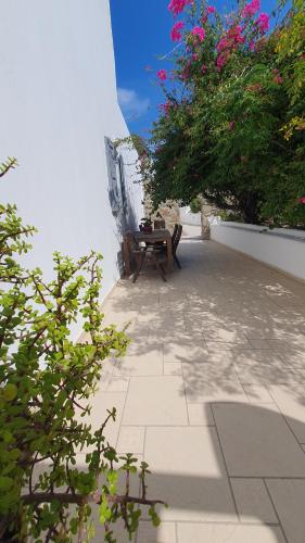 Zahrada ubytování Hotel Gorgona