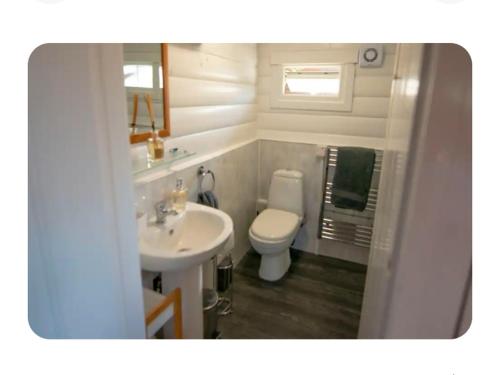 Koupelna v ubytování Snowdonia Escapes# Scenic Log Cabin with Views, WIFI & 2 Double bedrooms