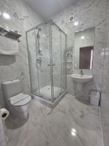 a bathroom with a shower and a toilet and a sink at Chayka Resort in Odesa