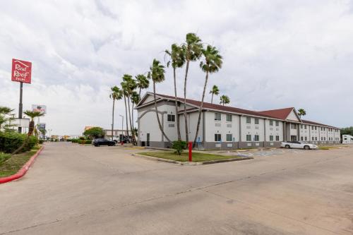 a building with palm trees in front of a parking lot at Red Roof Inn Pharr - McAllen in Pharr
