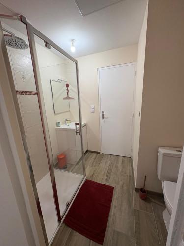 une salle de bain avec douche et toilettes dans l'établissement Les Paddocks du Damier Manceau, à Marigné-Laillé