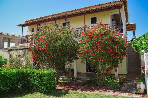 アギオス・ゲオルギオスにあるMirsini Apartmentsの赤い花の木々が目の前に2本の家