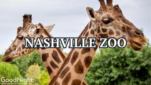 Altri animali domestici presso la casa vacanze o nei dintorni