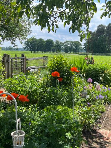 a garden with flowers and a field in the background at LOGIES Tuin der Zinnen in Rijkevorsel