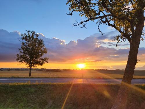 a sunset with a tree and a road at Apartament w Centrum in Kętrzyn
