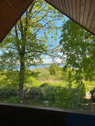 a window view of a yard with a tree at Uferglück Plau - mit eigenem Seezugang in Plau am See