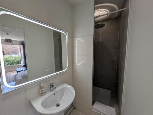 ein Badezimmer mit Waschbecken und Spiegel in der Unterkunft Joli appartement cœur de ville in Poitiers