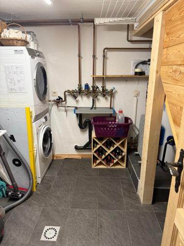 a laundry room with a sink and a washing machine at Grange de Fonville - Evolène - Valais in Evolène