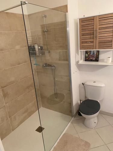 une salle de bain avec une douche en verre et des toilettes dans l'établissement Appartement de vacances Agde - 4pers, à Agde