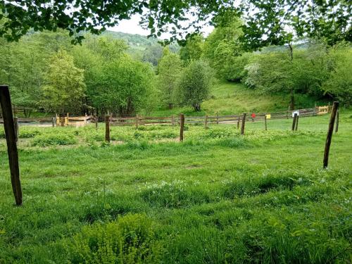 a field of green grass with a wooden fence at Caravane le fermier in Cunlhat