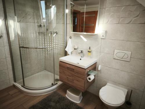 a bathroom with a sink and a shower and a toilet at Apartmán Doubrava in Puclice