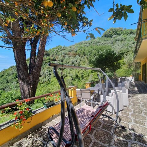 a chair on a balcony with an orange tree at Agriturismo Costa di Campo in Vernazza