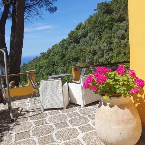 a vase filled with pink flowers sitting on a patio at Agriturismo Costa di Campo in Vernazza