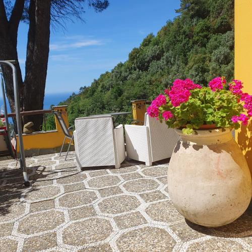 a large vase filled with pink flowers on a patio at Agriturismo Costa di Campo in Vernazza