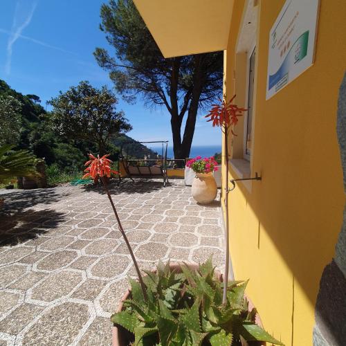 a yellow building with potted plants on a patio at Agriturismo Costa di Campo in Vernazza