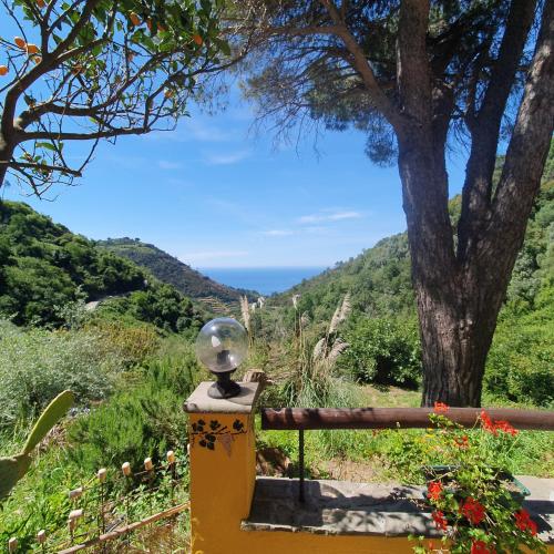 a view of the ocean from a fence with a tree at Agriturismo Costa di Campo in Vernazza