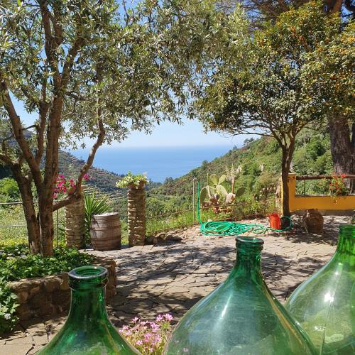 a group of green glass bottles sitting on the ground at Agriturismo Costa di Campo in Vernazza