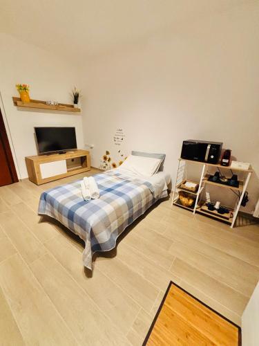 a bedroom with a bed and a flat screen tv at A casa mia in Modena