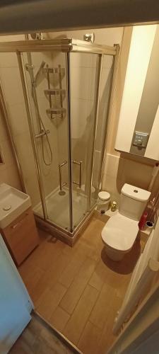 une salle de bain avec douche et toilettes dans l'établissement Appartement Saint Malo, à Saint-Malo
