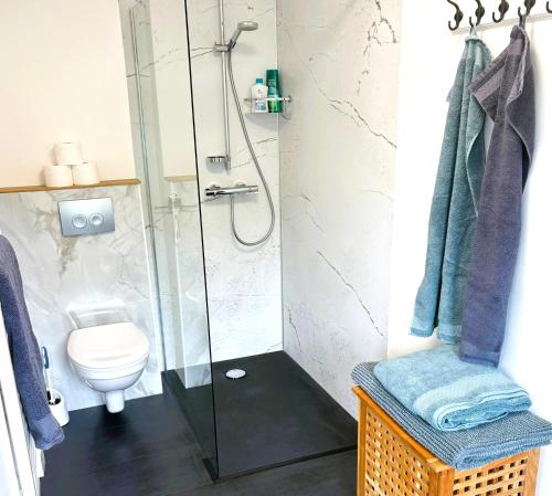 a bathroom with a shower and a toilet at Wohlfühl-Apartment in der Villa "Schöne Aussicht" in Rodalben
