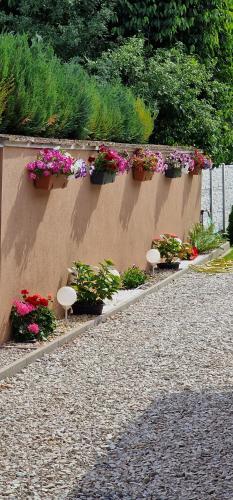 a wall with potted plants and flowers on it at Andrea ubytovanie in Štúrovo