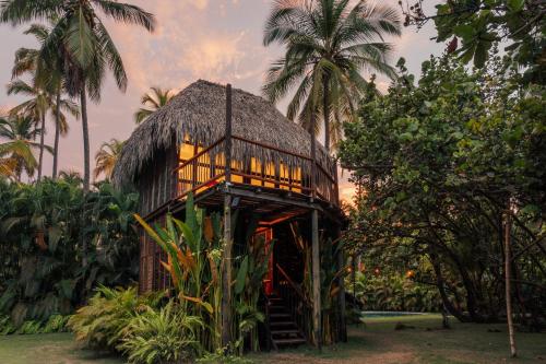 Zahrada ubytování Solea Villa Tropical