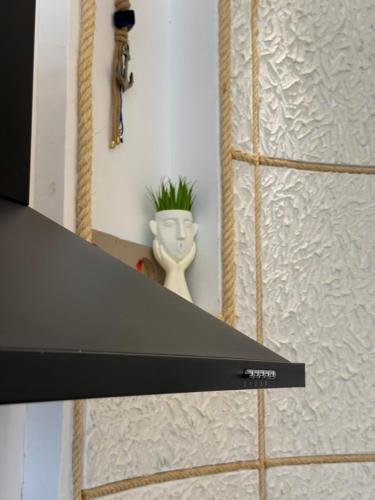 a black counter top with a plant on a wall at Amelia Seaview Apartments & Studios in Kallithea Halkidikis
