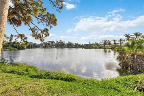 a large lake with palm trees in a park at Magic Secluded Suite-Pool-Sauna plus Lake View Venice Florida in Venice