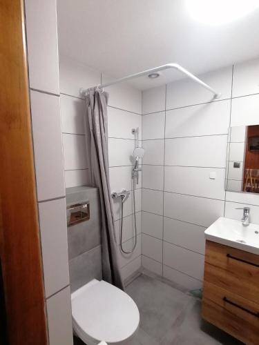 a bathroom with a shower with a toilet and a sink at Domek dla rodziny in Jastarnia