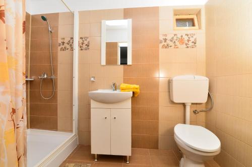 ein Bad mit einem WC, einem Waschbecken und einer Dusche in der Unterkunft Casa Mihai in Haţeg