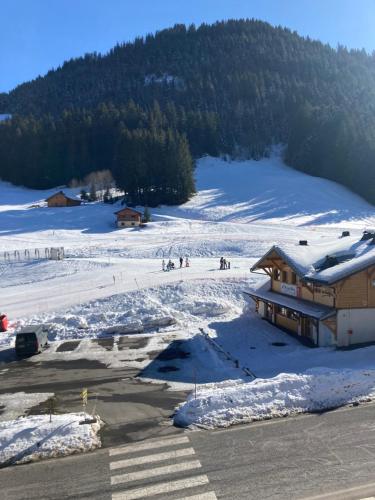 Edelweiss, Studio 5 pers, balcon sud est, vue sur les montagnes v zimě