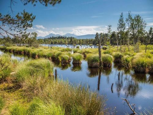 a river in a field with grass and trees at Bayerisches Refugium mit Sauna in Tittmoning
