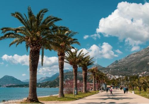 une rangée de palmiers sur un trottoir à côté de l'eau dans l'établissement Apartman Vuk, à Bar