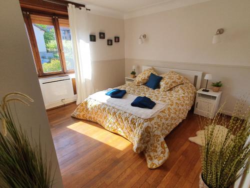 une chambre avec un lit avec des oreillers bleus dessus dans l'établissement gite spacieux, calme avec terrasse, à Wettolsheim