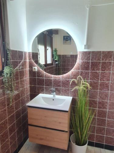 une salle de bain avec un lavabo et un miroir dans l'établissement gite spacieux, calme avec terrasse, à Wettolsheim
