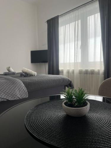 a bedroom with a bed and a table with a plant at ROCK Studio Apartman in Posušje