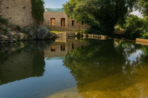 a pool of water in front of a building at Casa Rural Arbequina - Naturaleza y Calma en el Valle del Ambroz in Casas del Monte