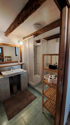 a bathroom with a sink and a shower at La Casetta sotto il Monte Novegno in I Costenieri