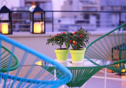 two potted plants sitting on a glass table at Bulnes Eco Suites in Buenos Aires