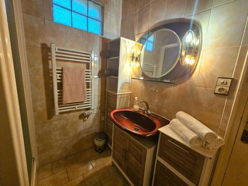un bagno con lavandino e specchio di Villa des cèdres La Franqui a Leucate