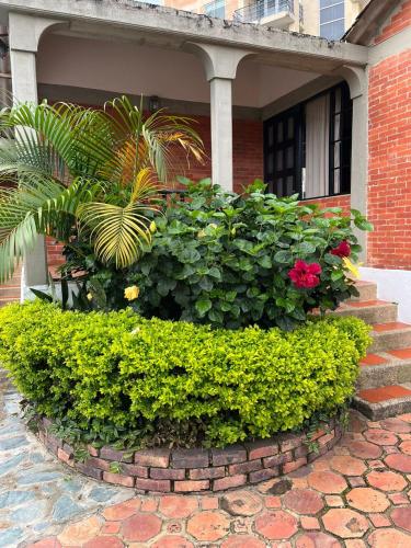 Un jardín fuera de Hotel Aguablanca