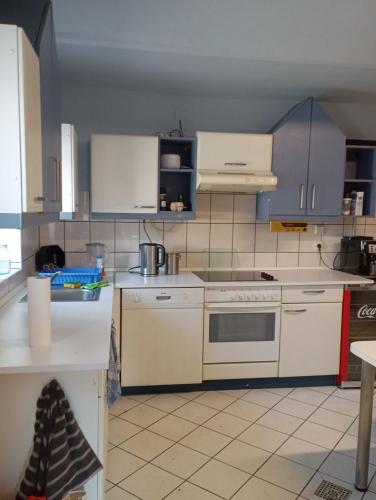 a kitchen with white appliances and blue cabinets at Agroturystyka Na górce in Uszyce