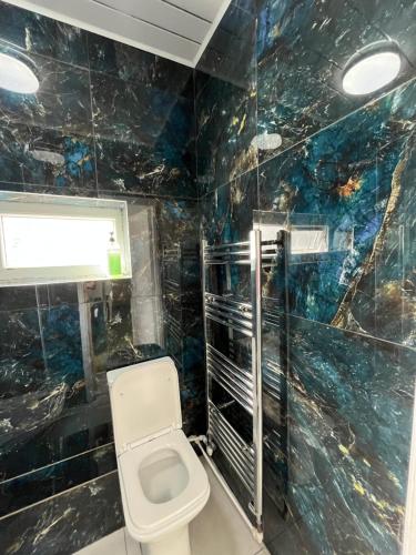 a bathroom with a toilet and a blue tiled wall at Eva lodges in Manchester