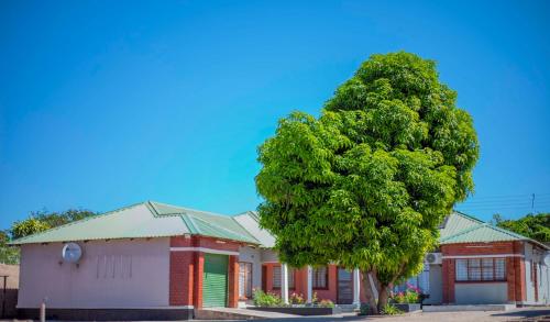 a building with a tree in front of it at Magodi Place - Serviced & Airconditioned Apartment in Livingstone