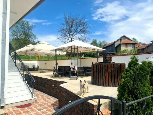Патио или другая зона на открытом воздухе в Garden Lux Grujić Apartmani