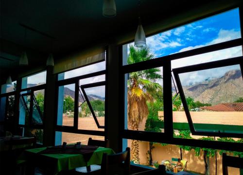 a view of a palm tree from a restaurant window at Hotel Los Sauces in Cafayate