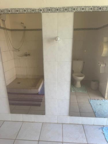 a bathroom with a shower and a toilet at Pension Fare Hiro Moorea in Vaianae