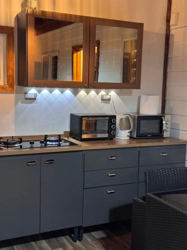 a kitchen with a stove and a microwave at Bosque Patagonia Lodge in Puerto Natales