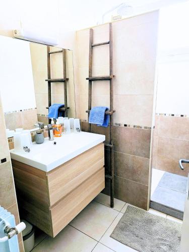 une salle de bain avec un lavabo et une douche dans l'établissement Doudoute Family Home, à Perpignan